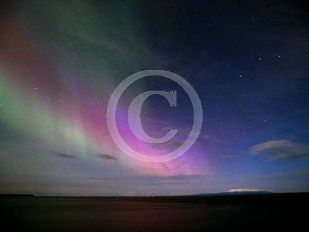 calvinawesomeaurora015