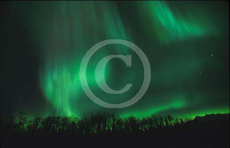 calvinawesomeaurora036