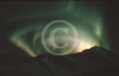 calvinawesomeaurora039